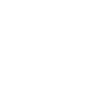 The Walt Disney Company - w